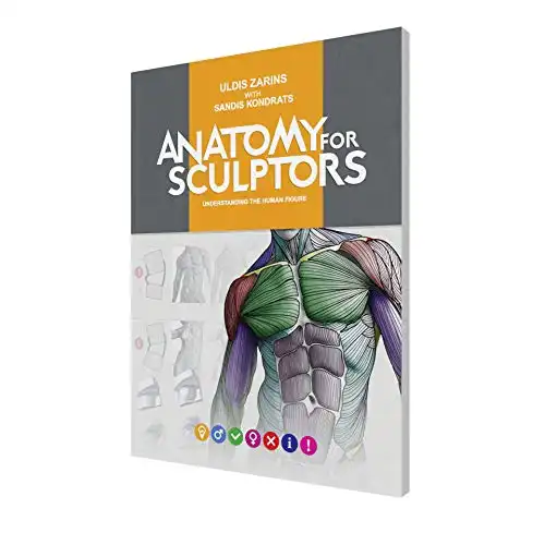 Anatomy For Sculptors, Understanding the Human Figure